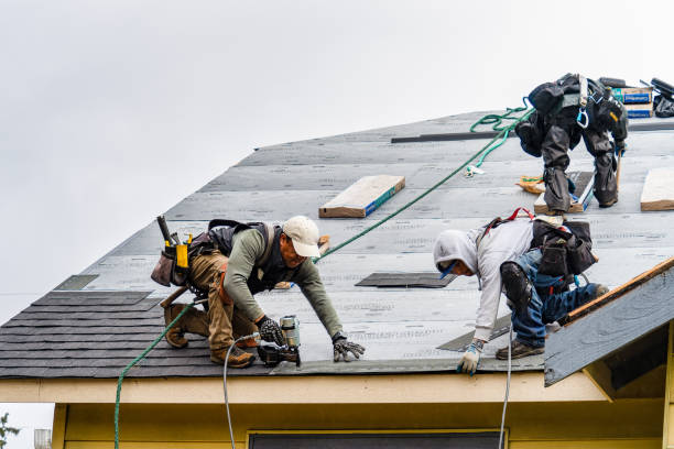 Professional Roof Replacement technician working in Pamplin, VA